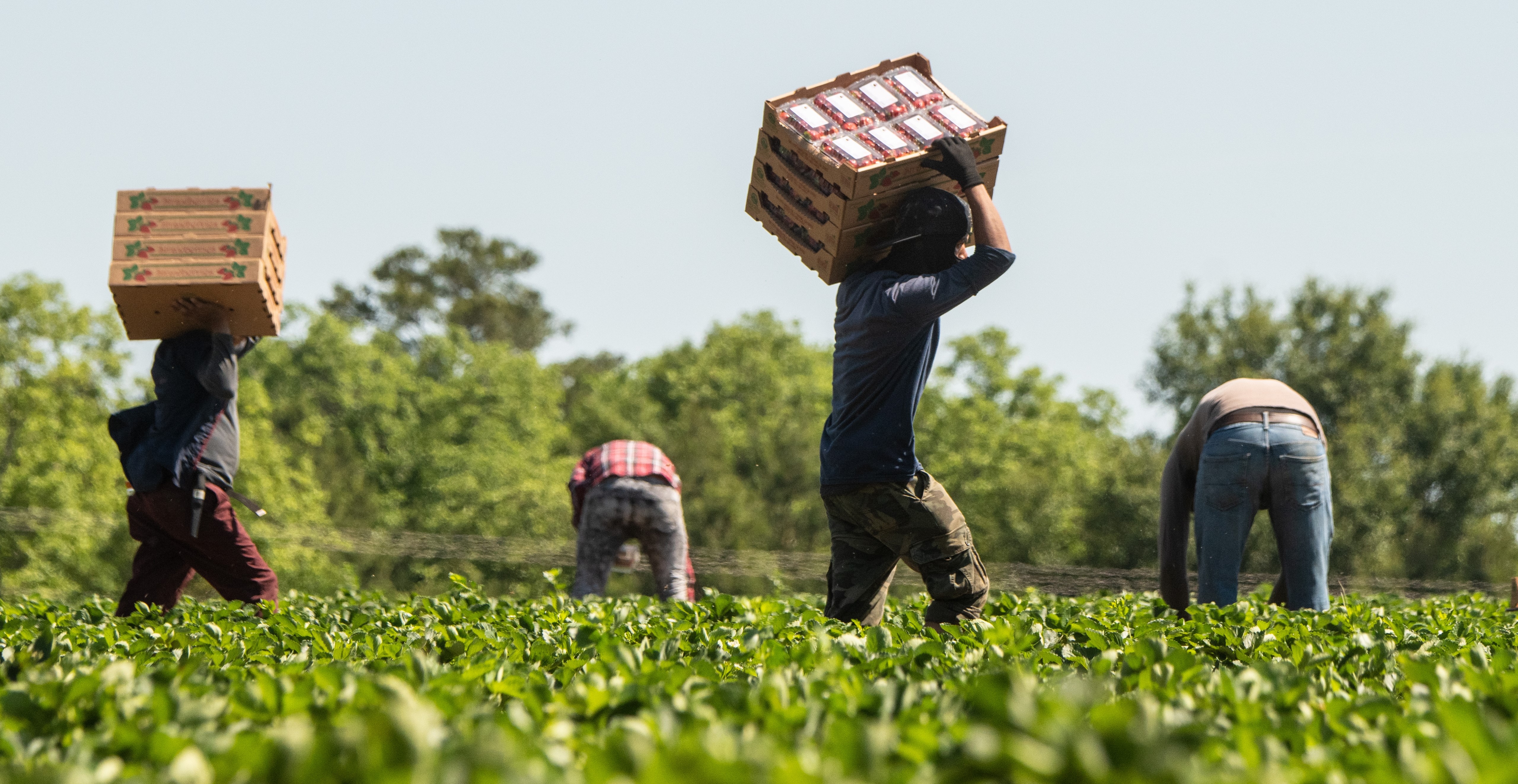 USDA Can Promote Equity In Our Food System Through Worker-Owned Cooperatives In The Next Farm Bill