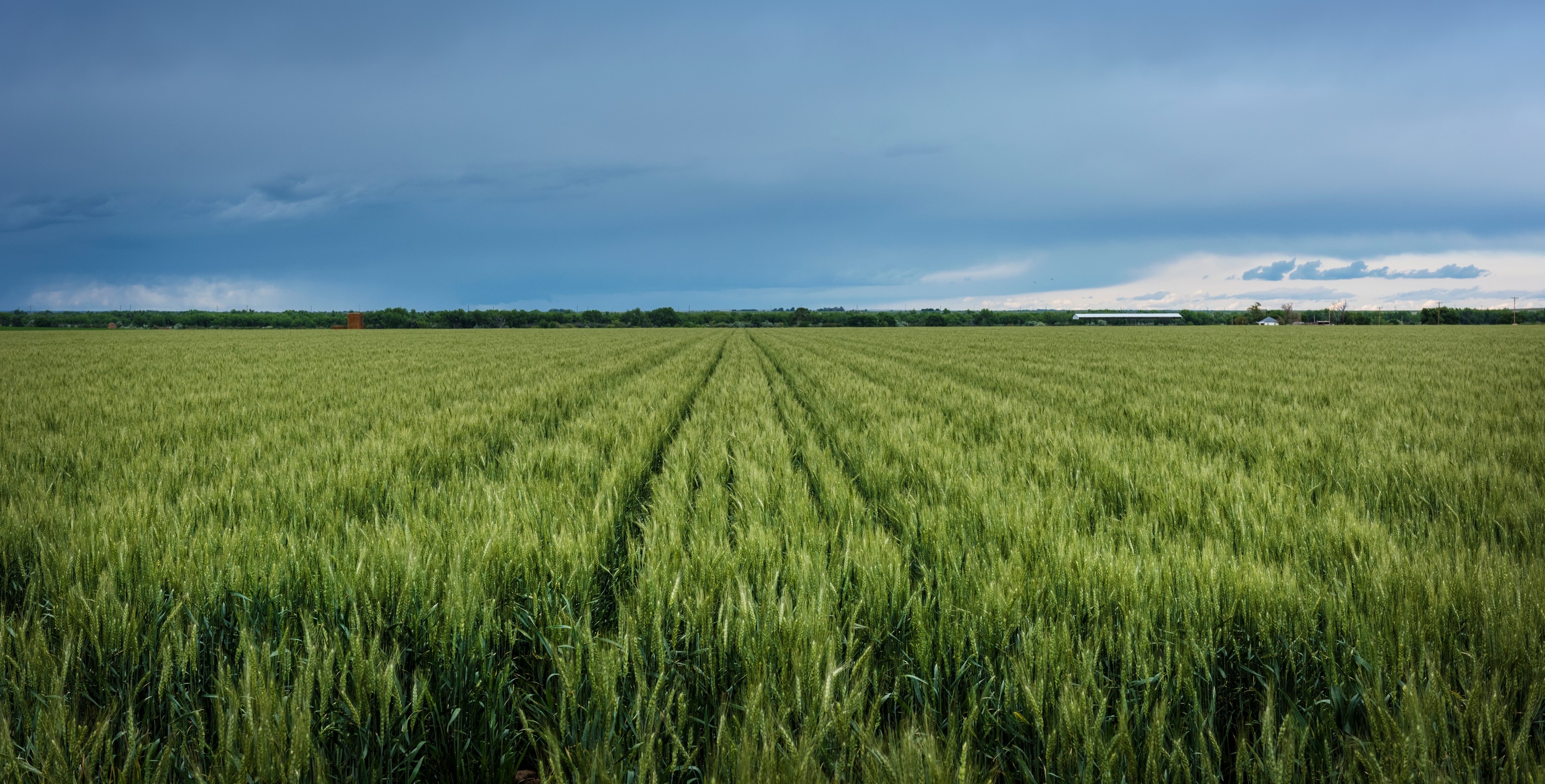 Bridging the Digital Divide: How the Affordable Connectivity Program Enhances the Farm Bill’s Reach