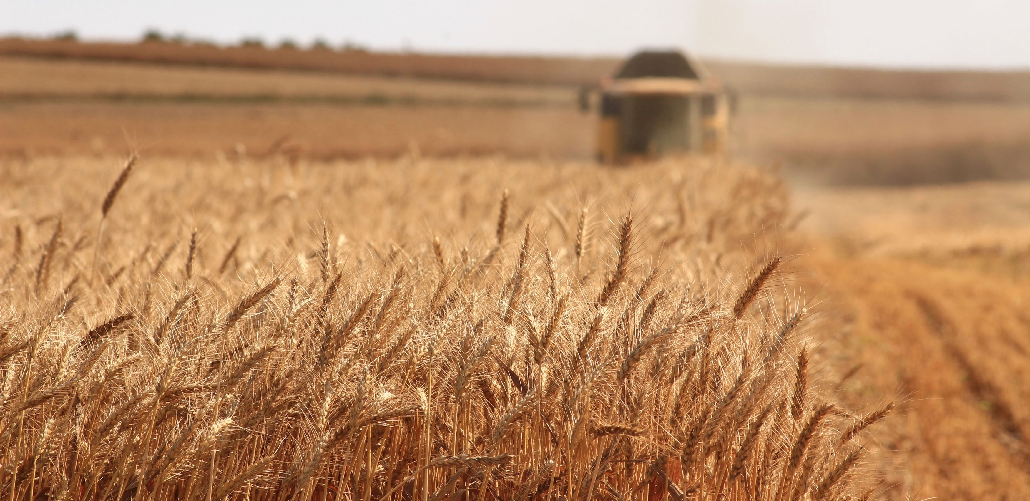 Data-Driven Analysis of Farm Practices in the Midwest